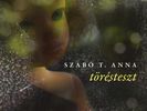 „Üresnek kell lennie” - Szabó T. Anna Töréstesztjéről „Üresnek kell lennie” - Szabó T. Anna Töréstesztjéről