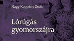Kiégett középkorúak klubja – Nagy Koppány Zsolt: Lórúgás gyomorszájra Kiégett középkorúak klubja – Nagy Koppány Zsolt: Lórúgás gyomorszájra