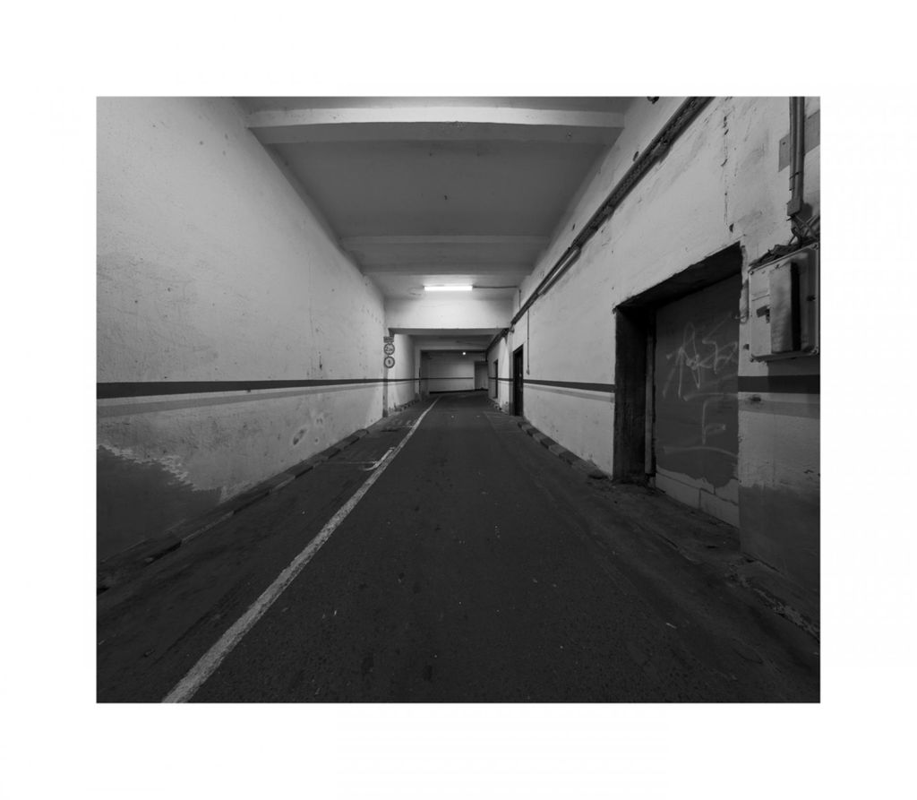 CZIG__NY___kos___F__ld_6437-44aphy__.jpg