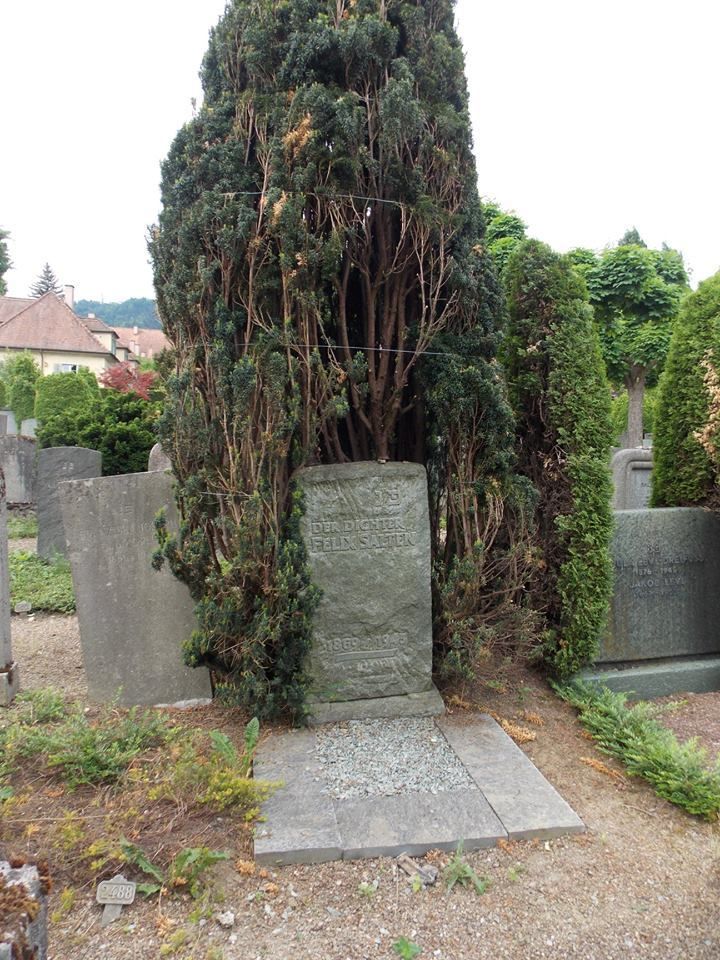 3._k__p_F__lix_Salten_s__rja_Zichben.jpg