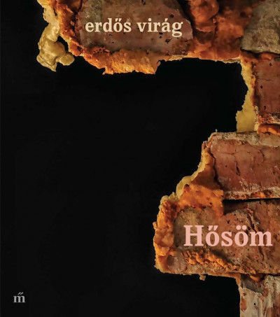 Erd__s_H__s__m.jpg