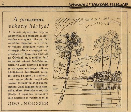 panamai.png