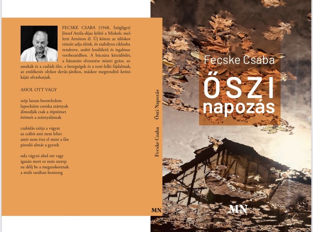 Fecske_Csaba_Oszi_napozas.jpeg