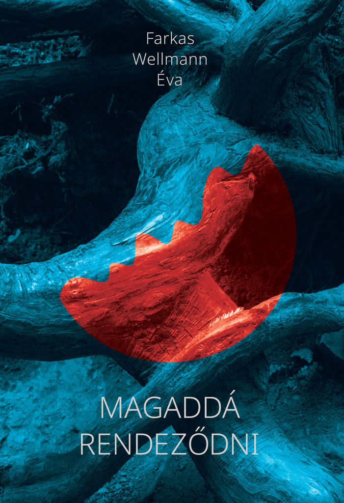 EHIK_KMTG_FWE_Magadda_rendezodelolap.jpg
