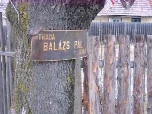 BalazsPal1