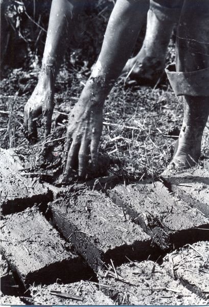 kunkovacs33
