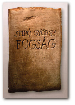 fogsag