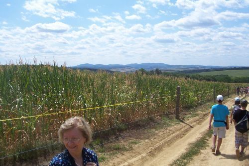 Szálka - Baka Tünde és a tolnai háttér