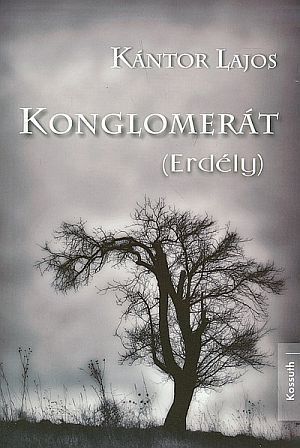 konglomerat