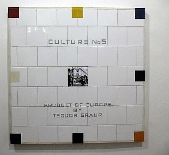 graur no5