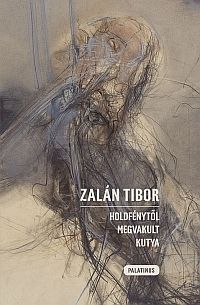 ZALAN_holdfenytol.jpg